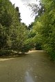 0097Arboretum de Balaine